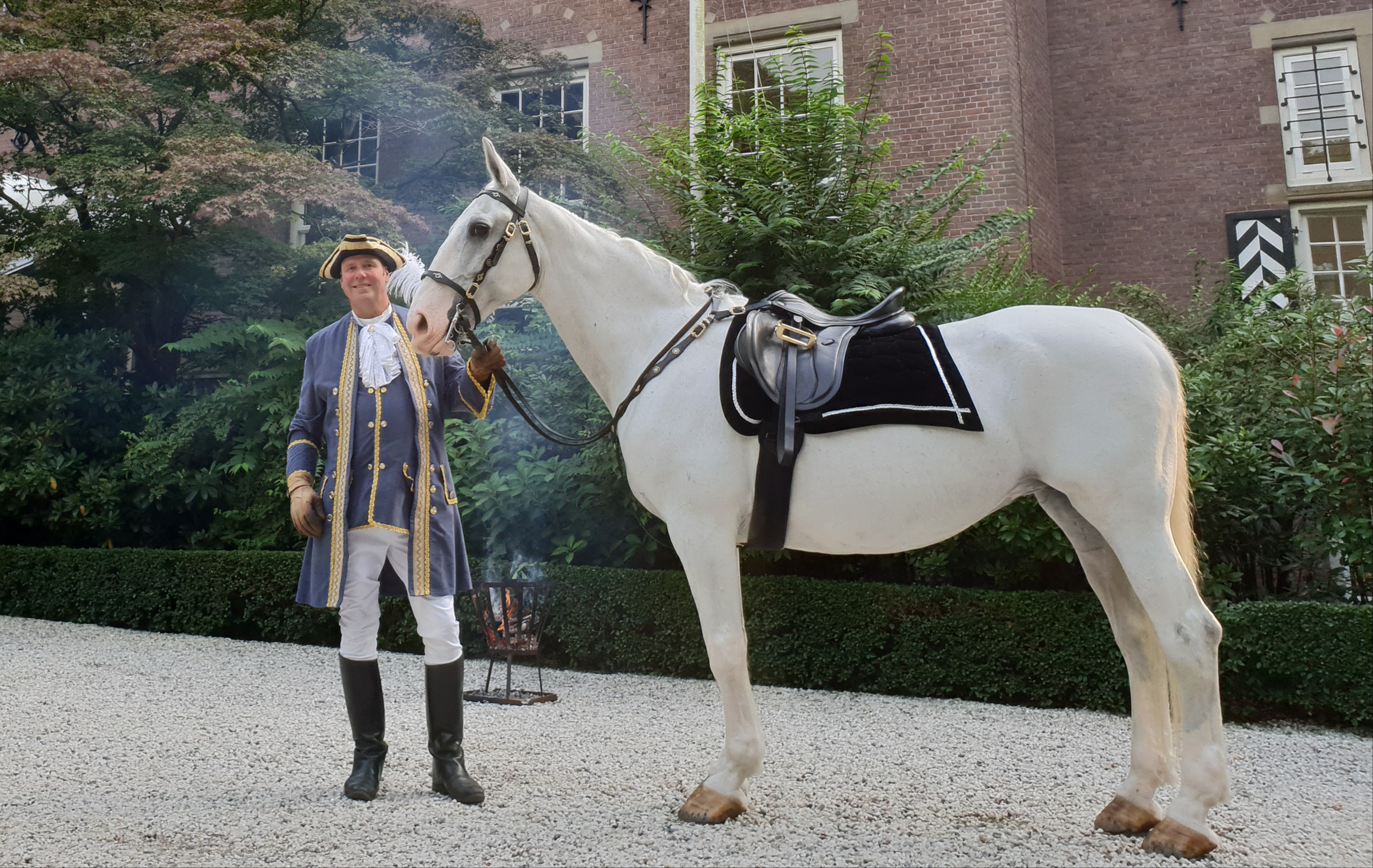 paard voor commercial, evenement of ceremonie - www.koetsen.nl