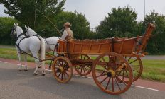 paard en boerenwagen te huur
