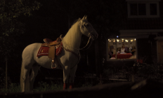Paard van Sinterklaas